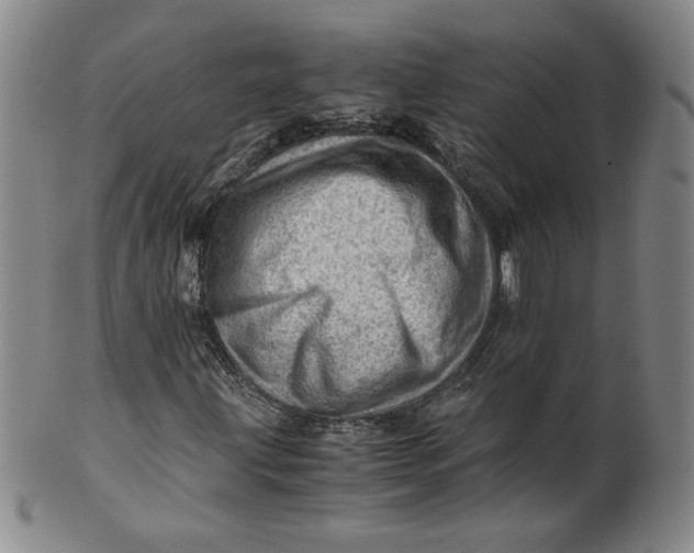 X0000101961203200808081520