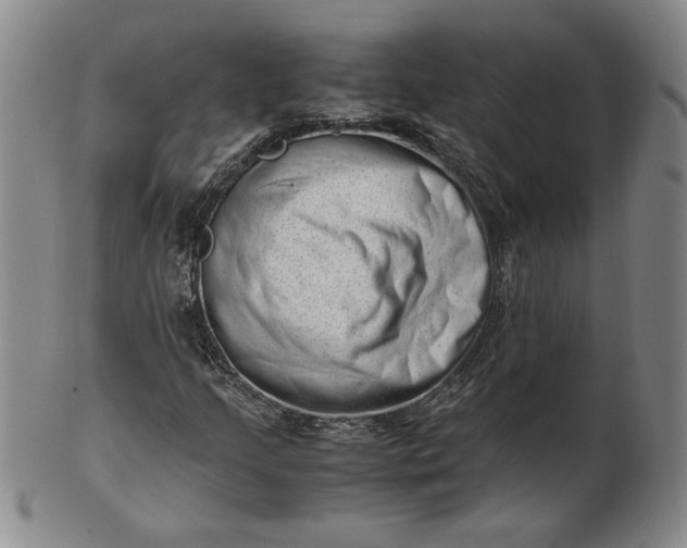 X0000101961205200808081520