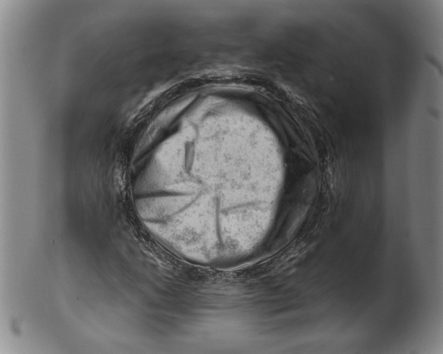 X0000101961206200808081520