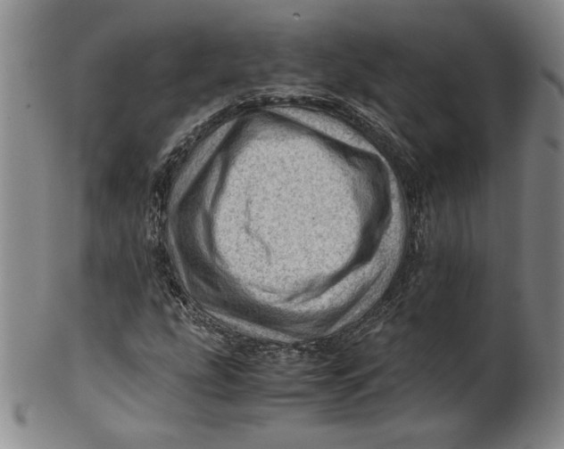 X0000101961207200808081520