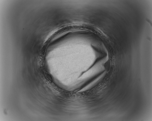 X0000101961208200808081520