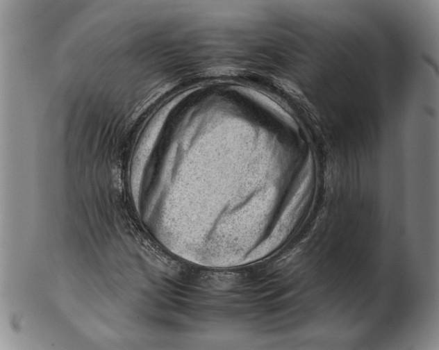 X0000101961209200808081520