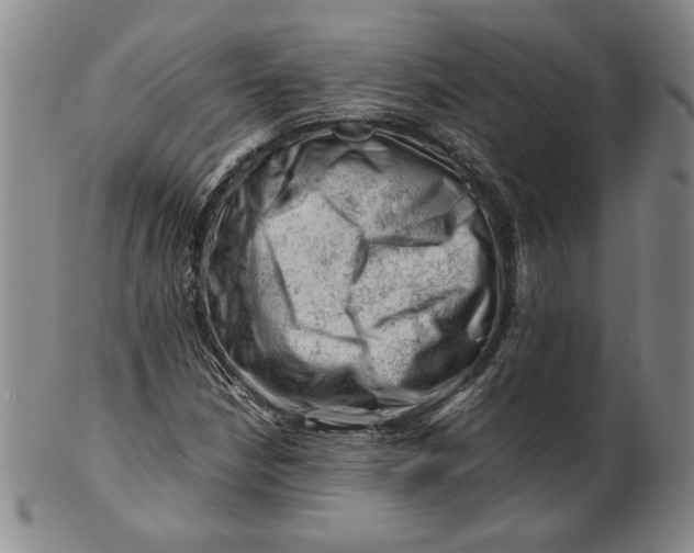 X0000101961210200808081520