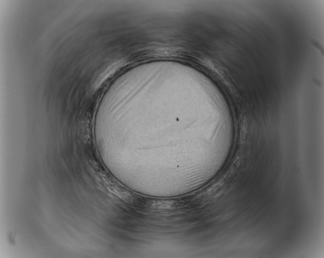 X0000101961211200808081520