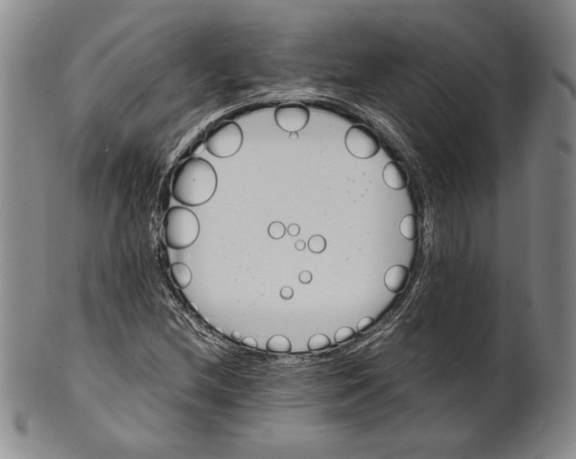 X0000101961212200808081520