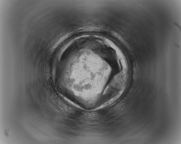 X0000101961213200808081520