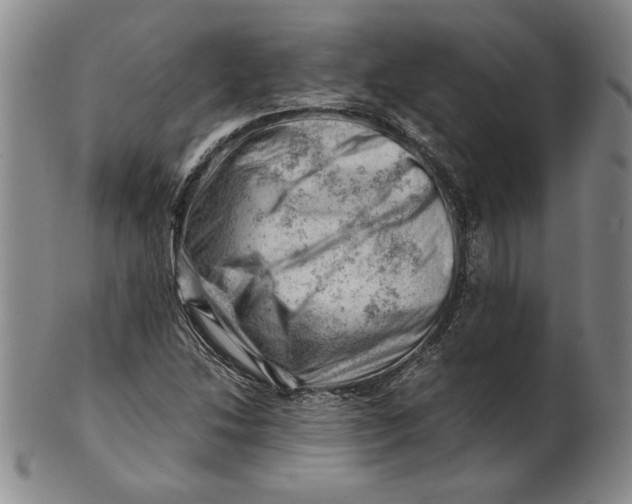 X0000101961214200808081520