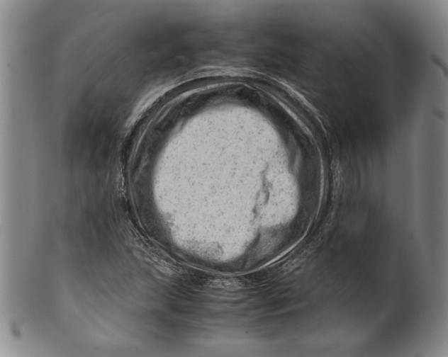 X0000101961215200808081520