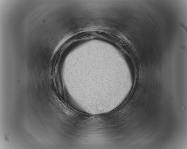 X0000101961216200808081520