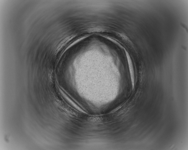 X0000101961217200808081520