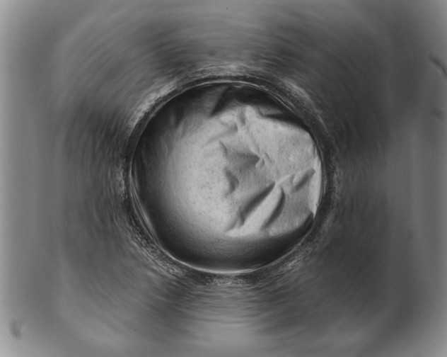 X0000101961218200808081520