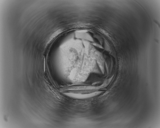 X0000101961219200808081520