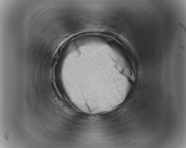 X0000101961220200808081520