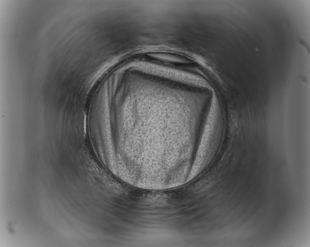 X0000101961221200808081520