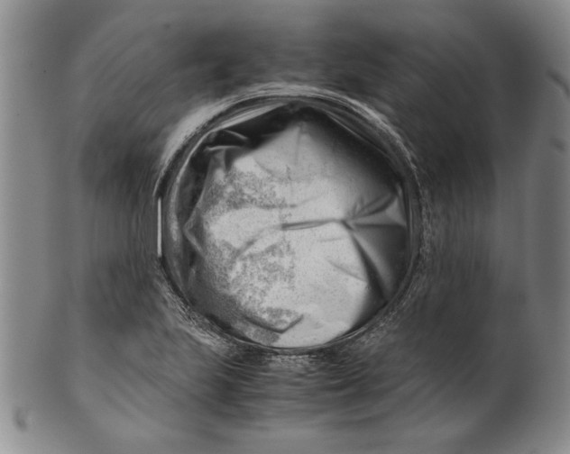 X0000101961223200808081520