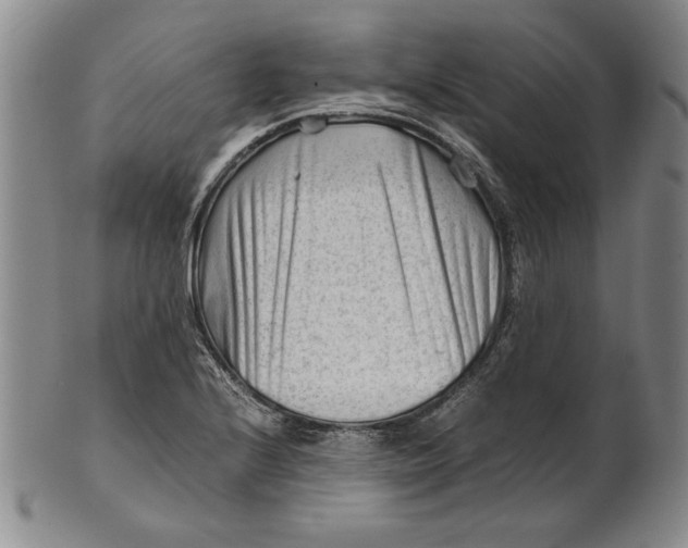 X0000101961224200808081520