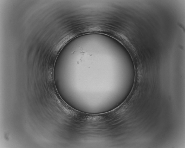 X0000101961225200808081520