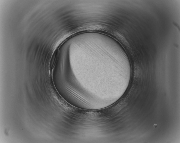 X0000101961226200808081520