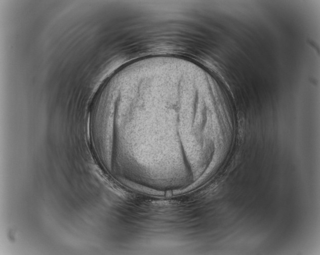 X0000101961227200808081520