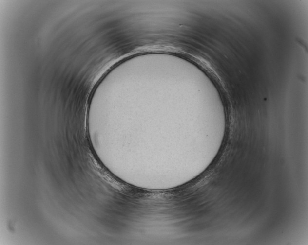 X0000101961228200808081520