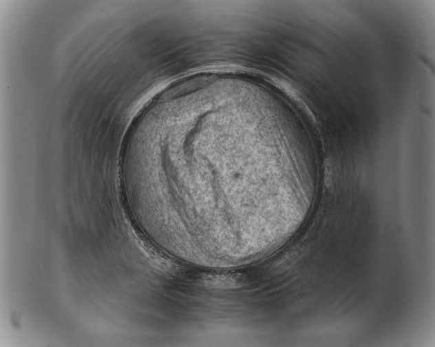 X0000101961229200808081520