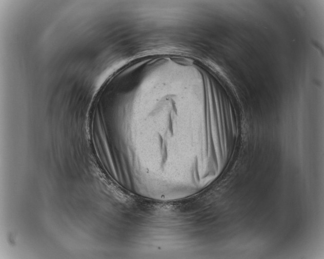 X0000101961230200808081520