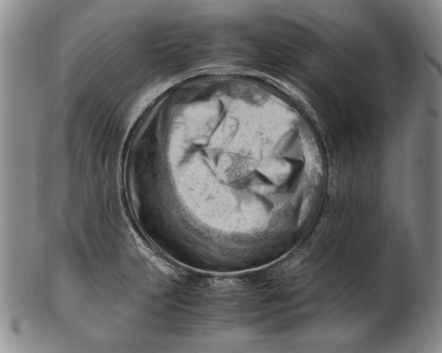 X0000101961231200808081520