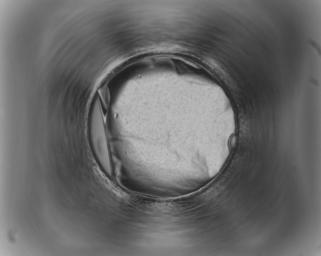 X0000101961232200808081521