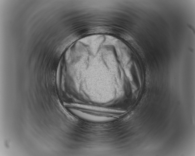 X0000101961233200808081521