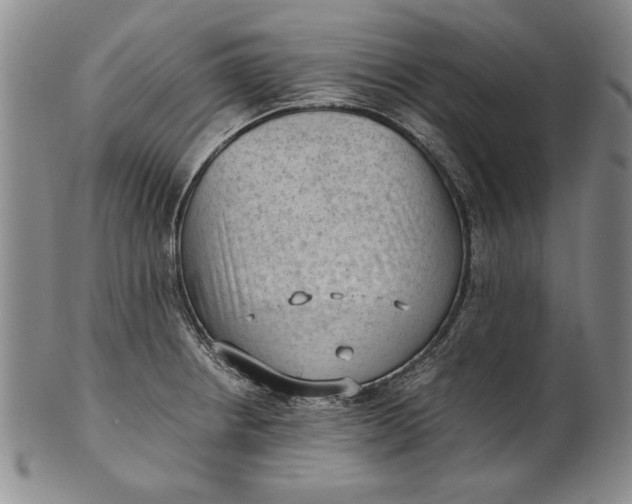 X0000101961234200808081521