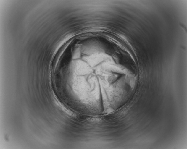 X0000101961235200808081521