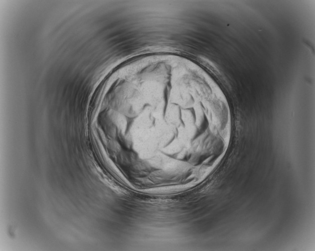 X0000101961236200808081521