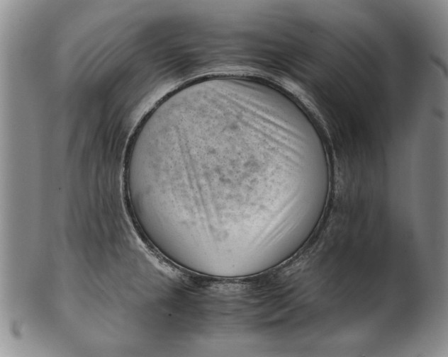 X0000101961237200808081521