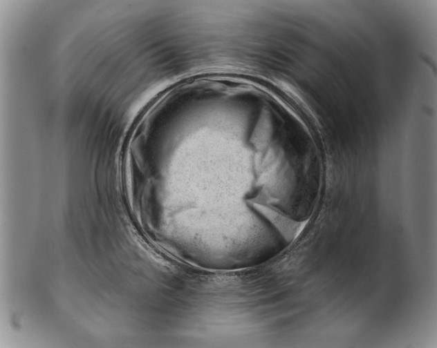 X0000101961238200808081521