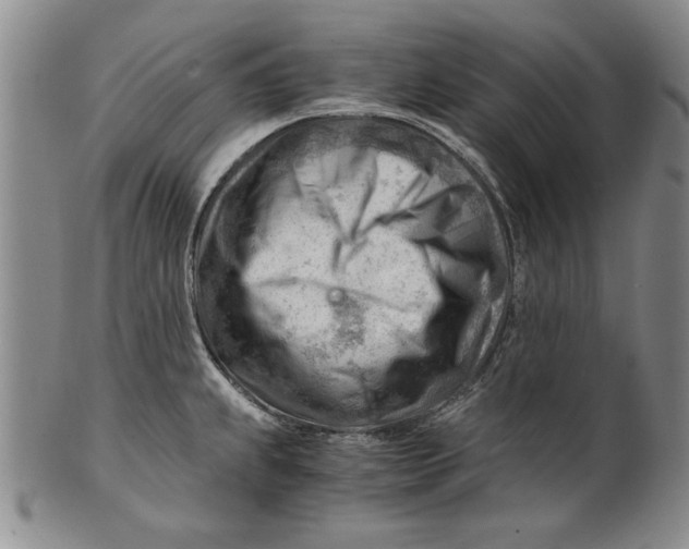 X0000101961239200808081521