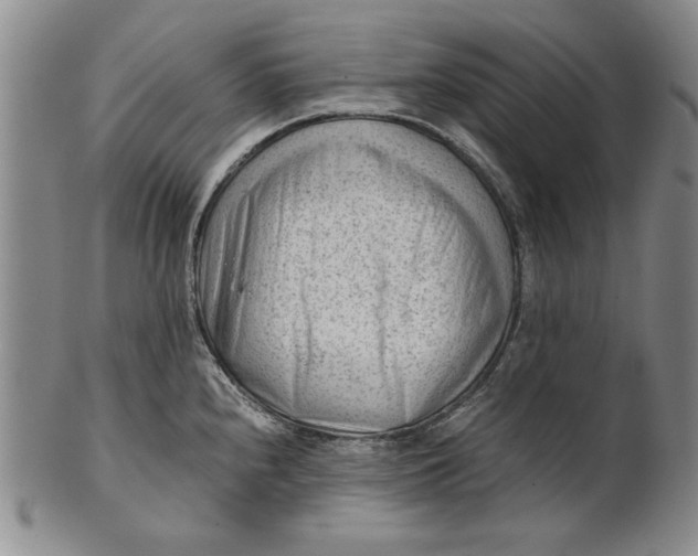 X0000101961240200808081521