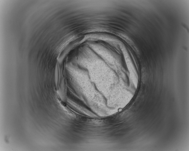 X0000101961241200808081521