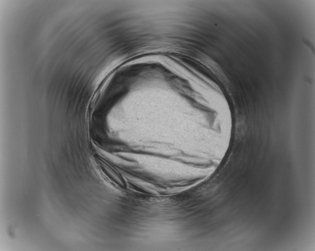 X0000101961242200808081521