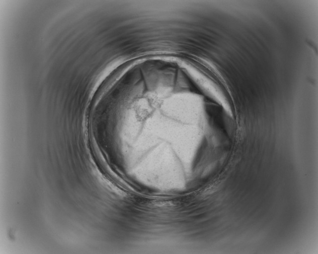 X0000101961243200808081521