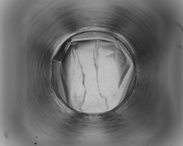 X0000101961244200808081521