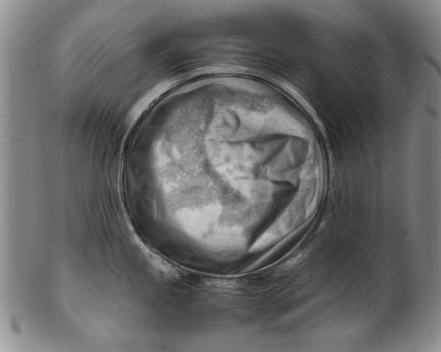 X0000101961245200808081521