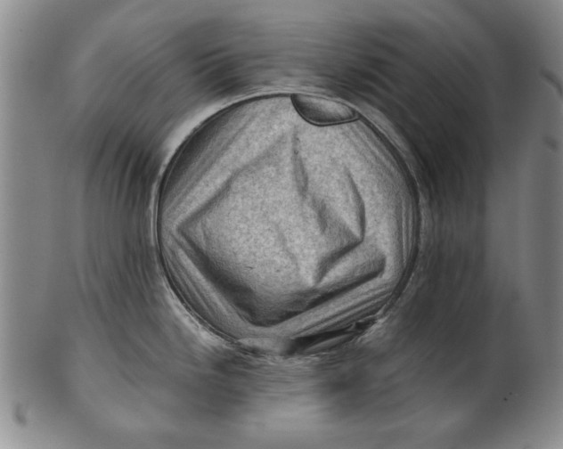 X0000101961246200808081521