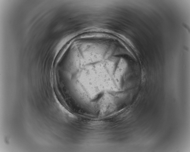 X0000101961247200808081521