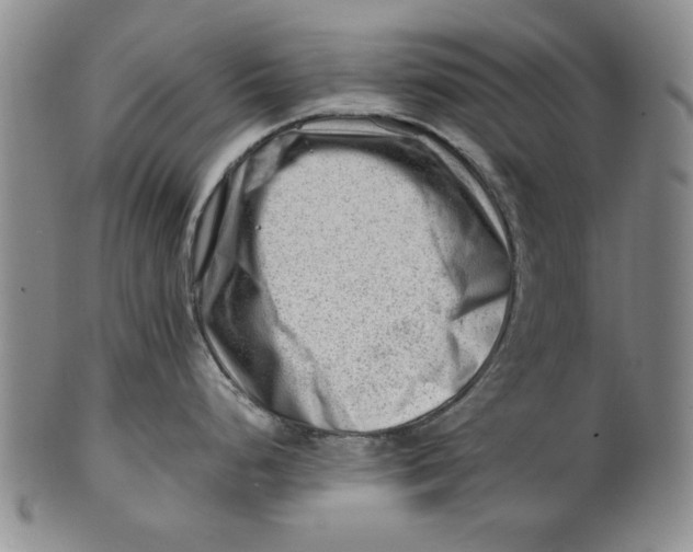 X0000101961248200808081521