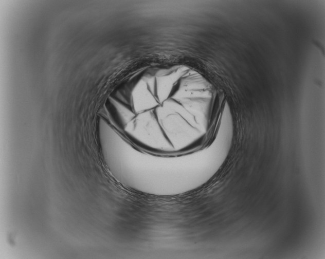 X0000101961249200808081520