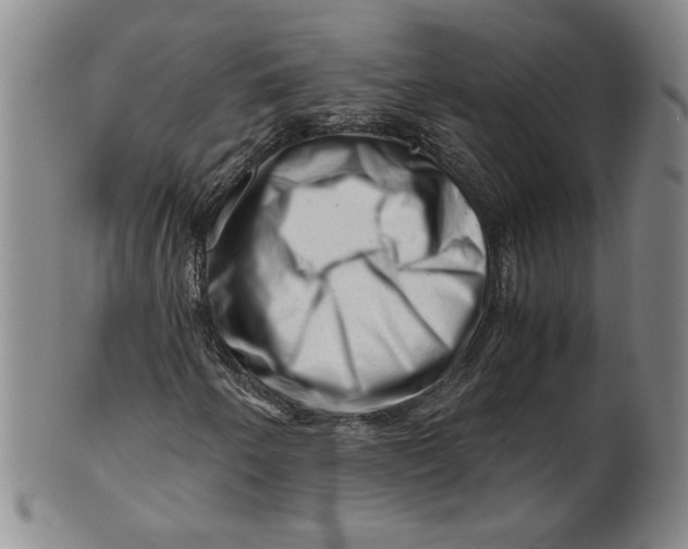 X0000101961250200808081520