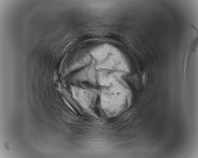 X0000101961251200808081520