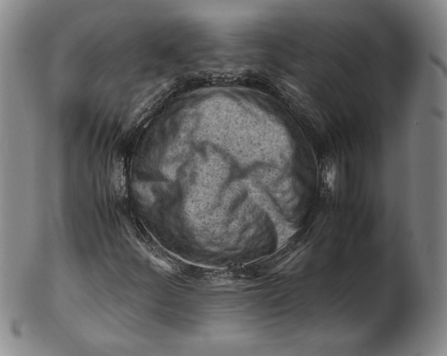 X0000101961252200808081520