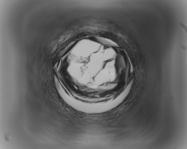 X0000101961253200808081520