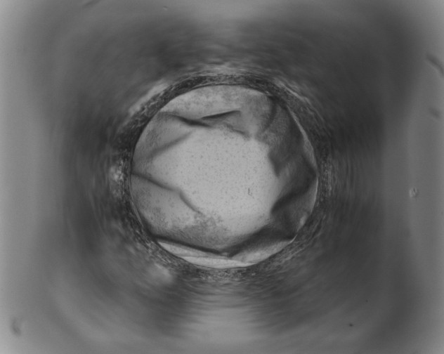 X0000101961254200808081520